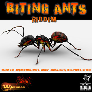 Biting Ants Riddim album