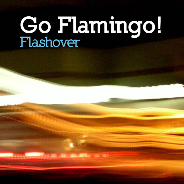 Go Flamingo! Photo