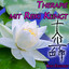 Therapie mit Reiki Klingt Albumcover