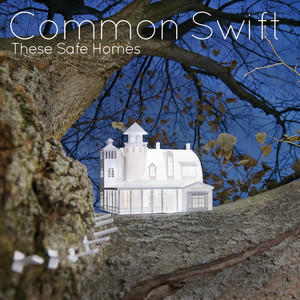 Common Swift