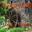 Tennessee Waltz cover