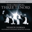 Nessun dorma cover