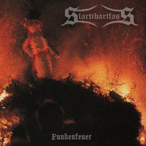 Schleier der Vergangenheit cover
