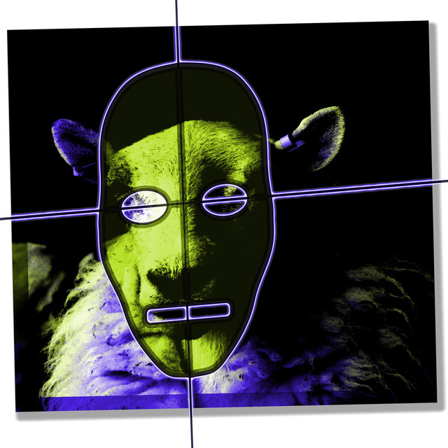 terre noire Photo