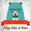 Cozy Like A Bear Albumcover