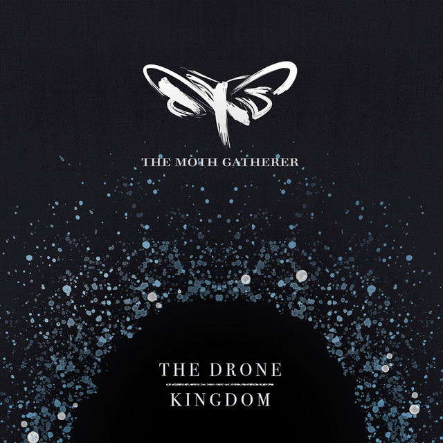 The Drone Kingdom cover