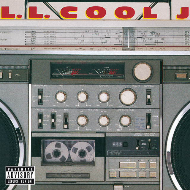 Radio cover