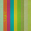 Pioneer Lane cover
