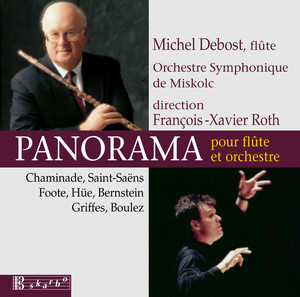 Panorama album