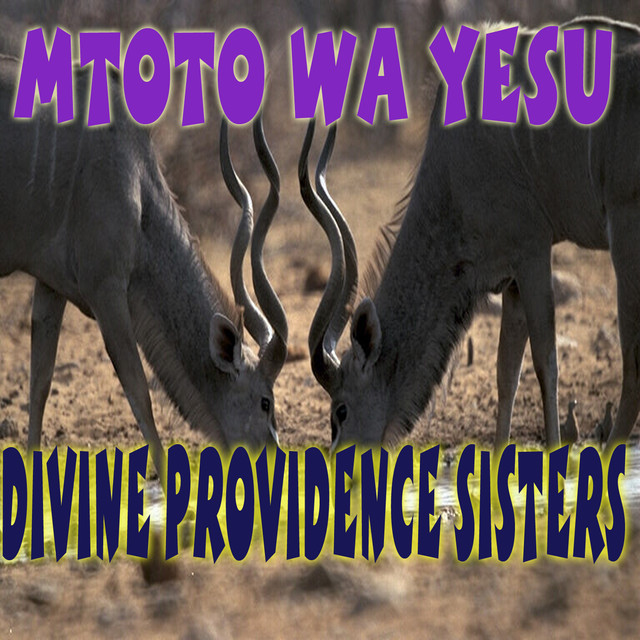 Divine Providence Photo