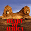 Heart of Africa Albumcover