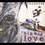 Big Big Love Albumcover