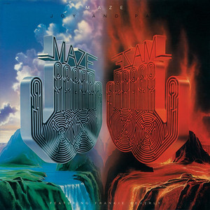 Joy and Pain album