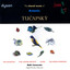 The Choral Music of Antonin Tuçapský Albumcover