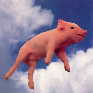 Que Sirhan Sirhan cover