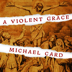 A Violent Grace cover