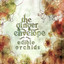 Edible Orchids Albumcover