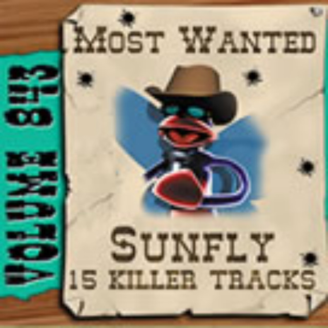 Sunfly Karaoke