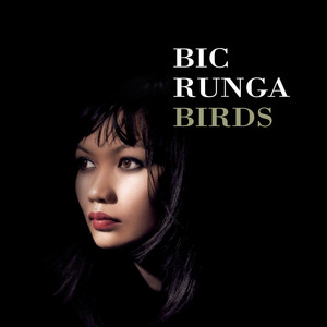 Birds cover