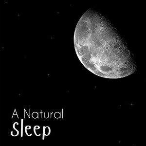 A Natural Sleep album