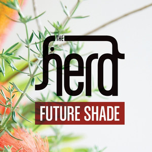 Future Shade cover
