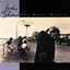 The Great Puzzle cover