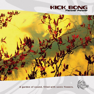 Flower Power cover