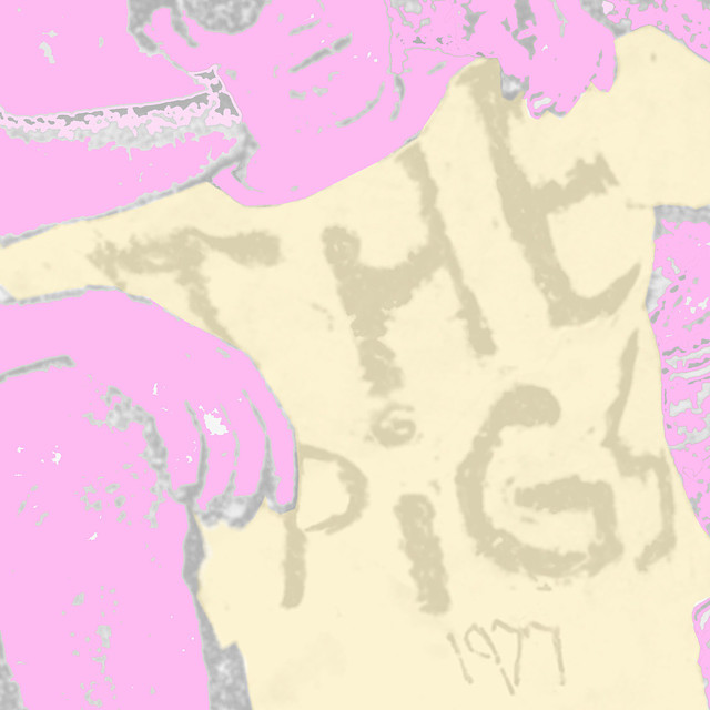 The Pigs photo