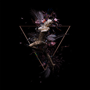 Trans cover