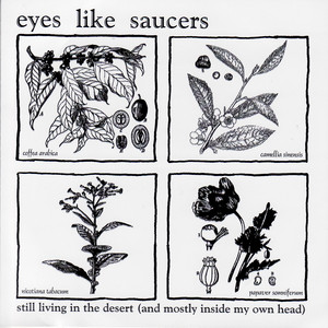 Eyes Like Saucers poster