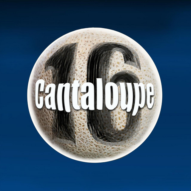 Cantaloup Photo