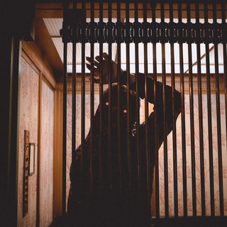 Frank Leone Photo