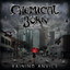 CHEMICAL BURN