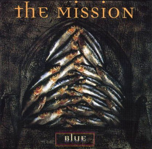 Blue cover