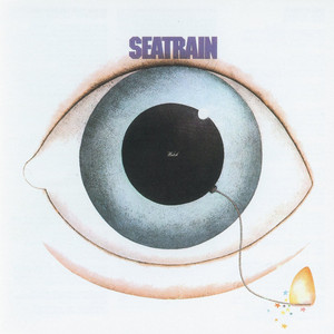 Scratch cover