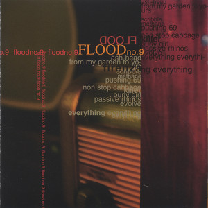 Flood No. 9