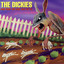 Dogs From The Hare That Bit Us Albumcover