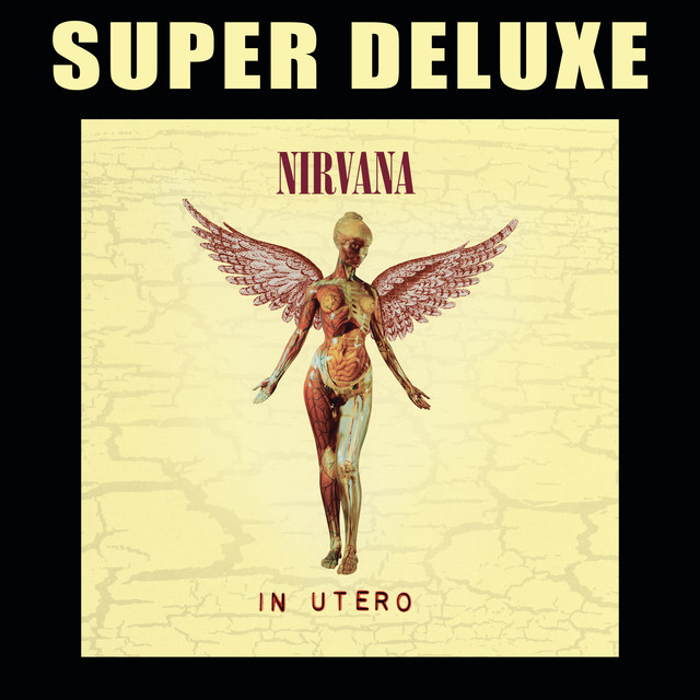 In Utero - 20th Anniversary Super Deluxe cover
