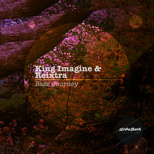 King Imagine, Reixtra