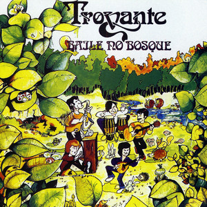 Baile No Bosque cover