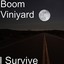 I Survive Albumcover