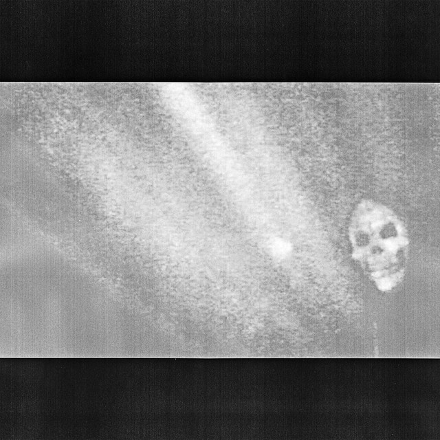 Sealings Photo