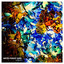 Radiance cover