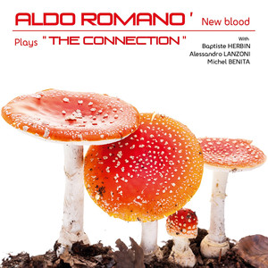 New Blood (feat. Baptiste Herbin, Alessandro Lanzoni & Michel Benita) album
