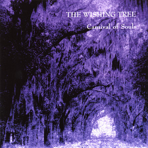 Evergreen cover