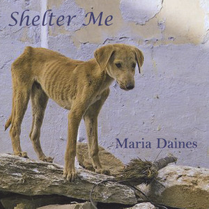 Shelter Me Albumcover