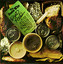 Road Food cover