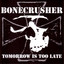Tomorrow Is Too Late cover