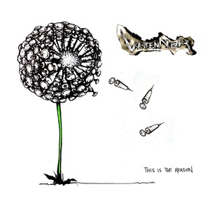 This is the Reason Albumcover