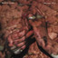 Phantom Limb cover
